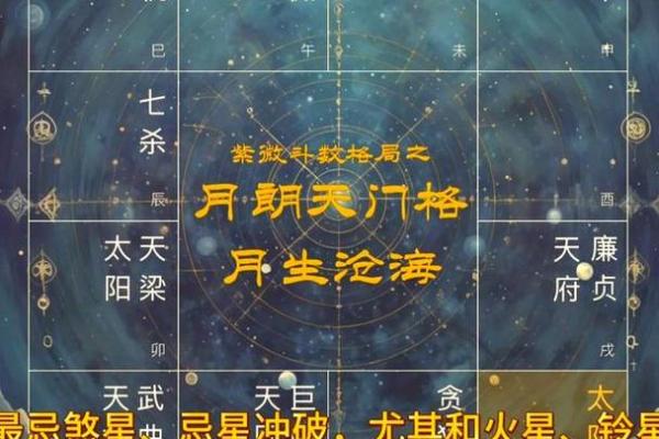 紫薇斗数联系群