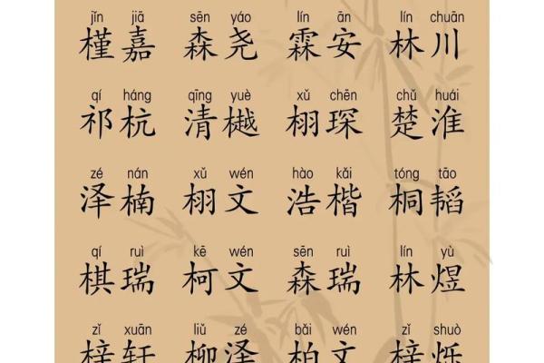 2019年4月16号卯时出生的男孩起名方法姓名