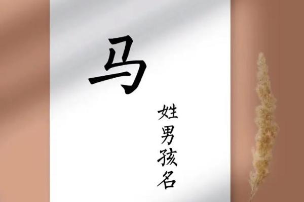 早上出生的属马男孩起名宜用什么字姓名
