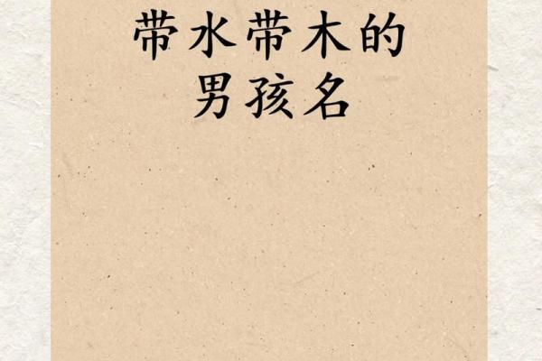 属鸡寅时出生的男孩如何取名，宜用什么字姓名
