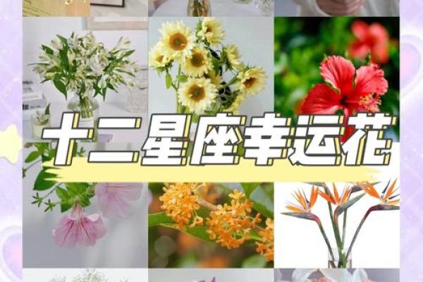 十二星座什么花适合自己