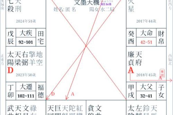 紫微斗数疾厄宫破军旺
