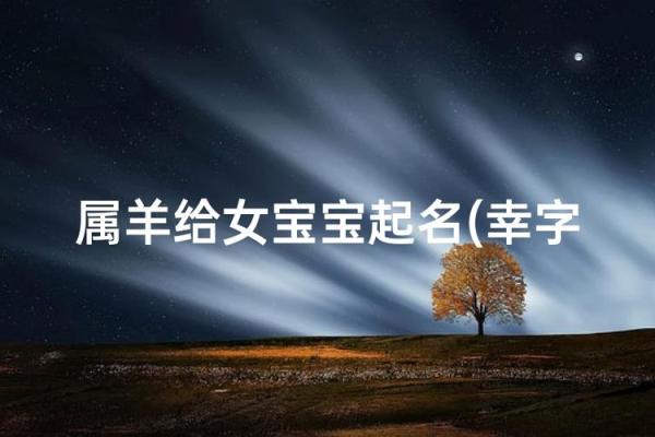 晚上十二点出生的属羊男孩如何起名，宜用什么字姓名