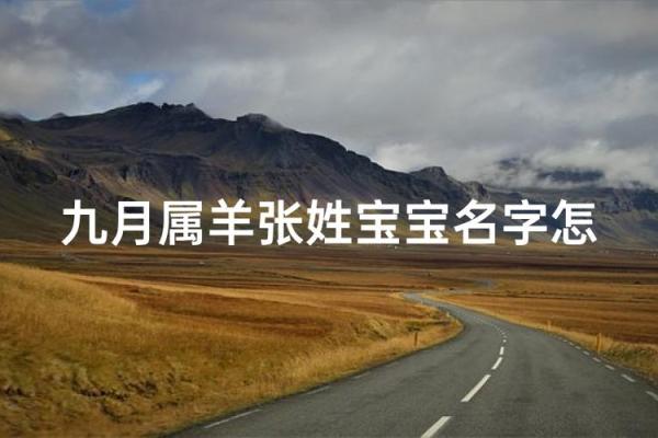 晚上十二点出生的属羊男孩如何起名，宜用什么字姓名