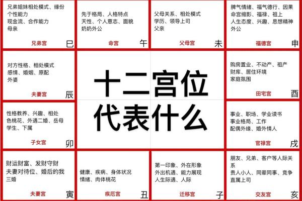 紫微斗数紫薇性格