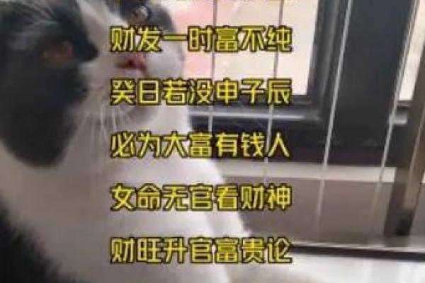 八字财运不好就真的没钱吗
