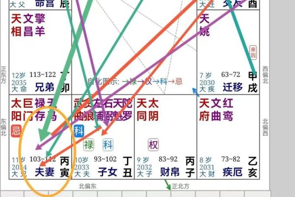 紫薇斗数壬化禄