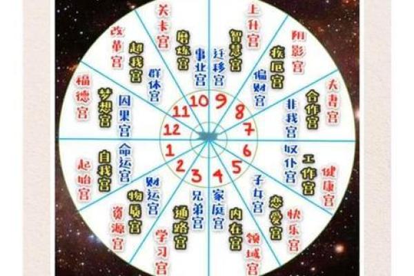 紫薇斗数子女宫在子