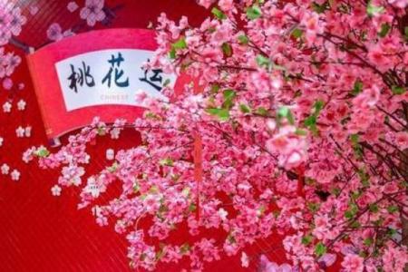 办公室女性招桃花运风水布局 用了桃花运简直不要太好