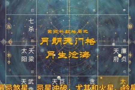 紫薇斗数联系群