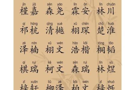 2019年4月16号卯时出生的男孩起名方法姓名