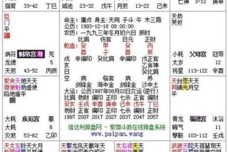 紫微排盘,科星逢破格命格详解