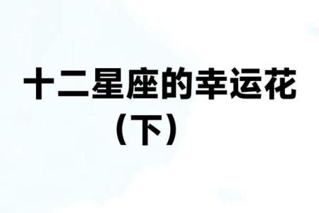十二星座什么花适合自己