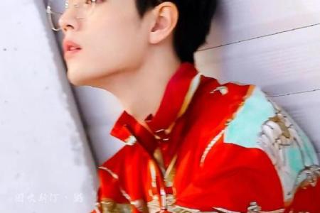 明星肖战最适合嫁给12星座的人