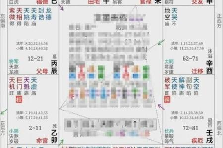 紫微斗数案例25健康：抑郁的命盘啥样？你在什么时间渡劫？