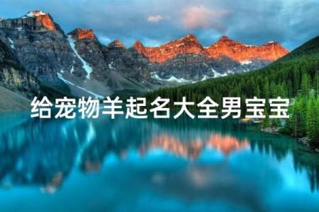 上午11点出生的属羊男孩如何起名，宜用什么字姓名