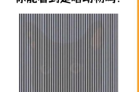 根据名字测试你是什么动物  本命动物测试
