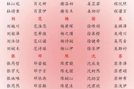 高分取名-2024年元旦节出生的宝宝八字起名字