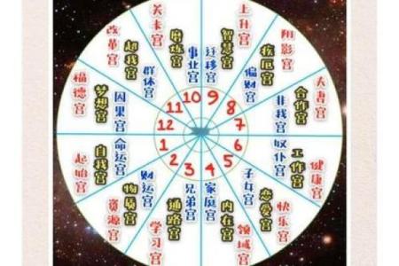 紫薇斗数子女宫在子