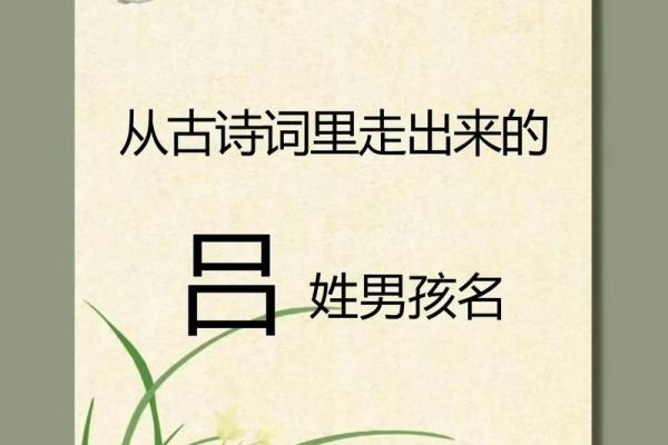 吕氏八字
