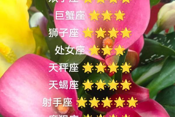 十二星座白羊座的运势