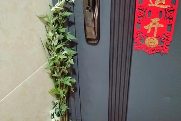 风水端午艾草挂艾草在门口寓意