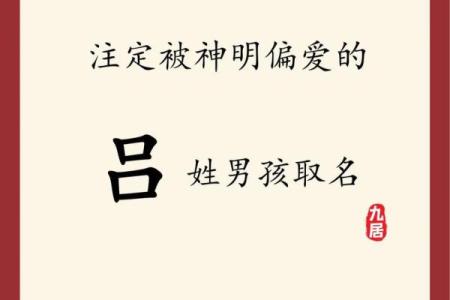 吕氏八字