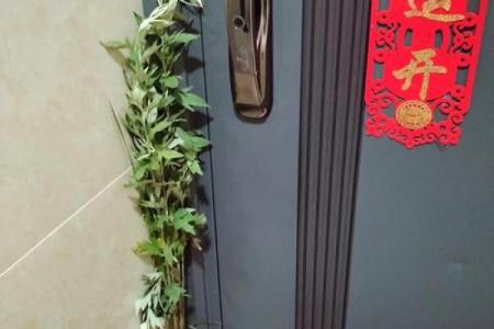 风水端午艾草挂艾草在门口寓意