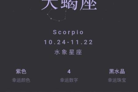 11月份是什么星座男 11月份是什么星座女