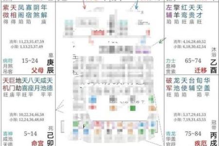 紫微斗数案例48财官：能力强、欲望大的人，愿你的命盘不是这样