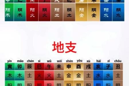 八字地支全是水的命理分析