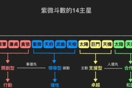 紫微斗数之诸星值限年运气推断：天相星之年