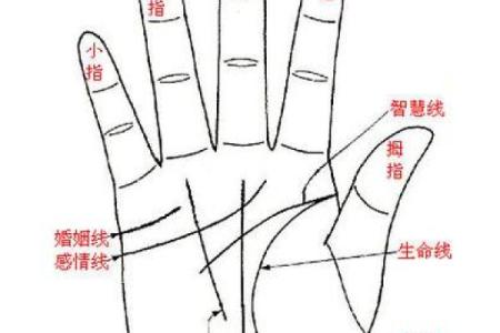 掌纹算命图解 通过手相看智慧