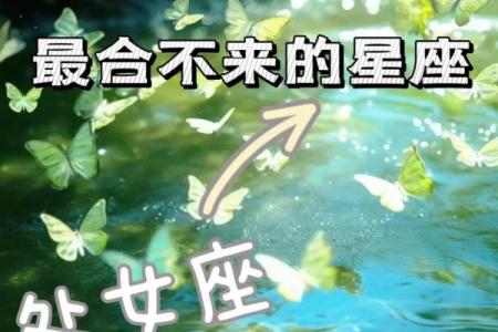 处女座最稀罕的星座女 处女座合不来的三大星座