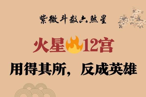紫薇斗数火星陷