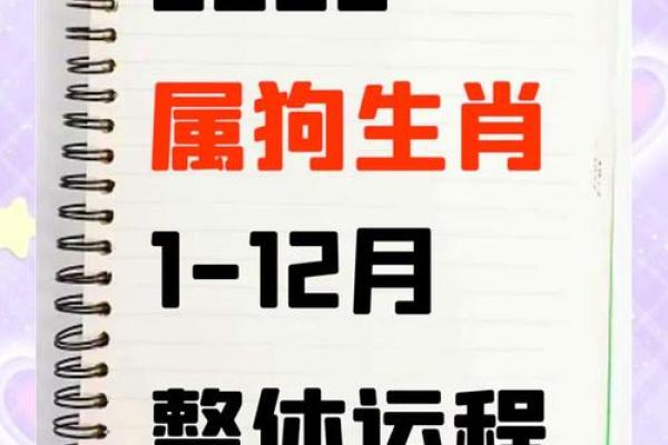 早上出生的属狗男孩怎么取名 ，宜用什么字姓名