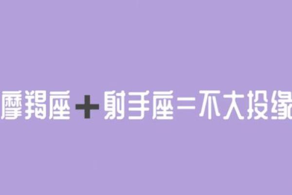 射手魔羯座男女星座性格分析