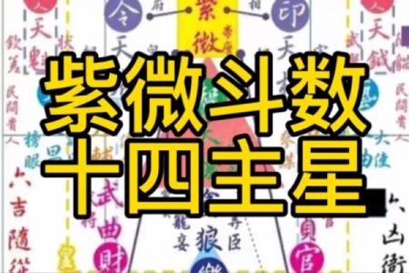 紫薇斗数双星速配