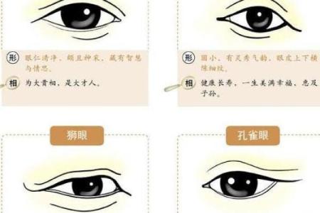 中华命理风水网_风水师业务范围