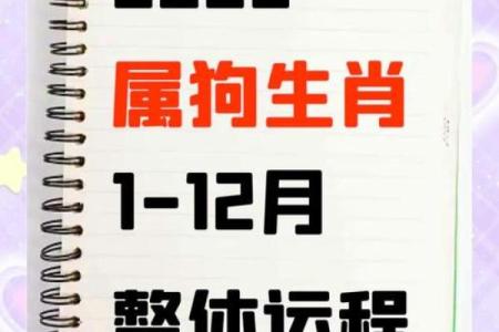 早上出生的属狗男孩怎么取名 ，宜用什么字姓名