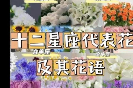 哪些花朵适合十二星座的专属