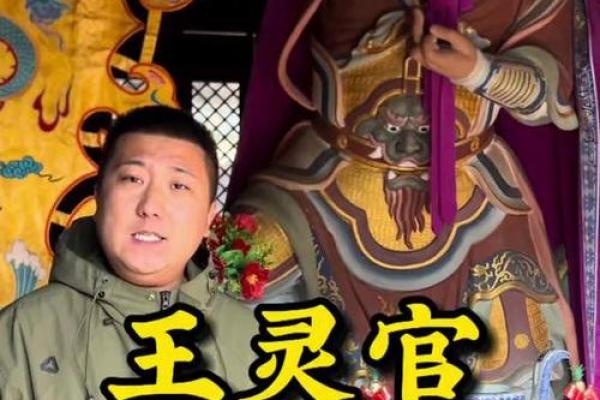 算命中指的官是什么