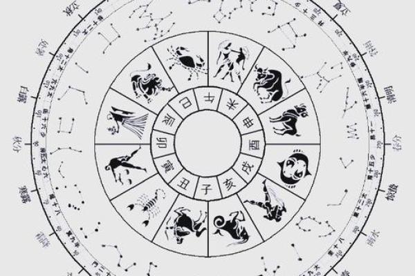 二十八星宿哪个星座最强大