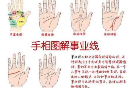 手相算命总论 手相算命大揭秘