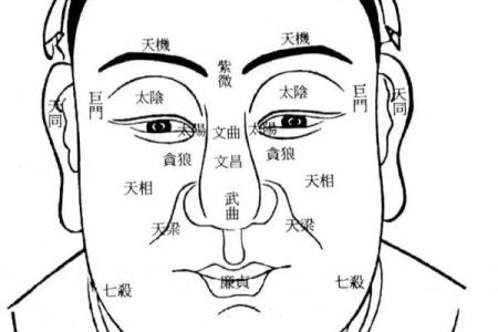 倪海厦紫薇斗数案例10