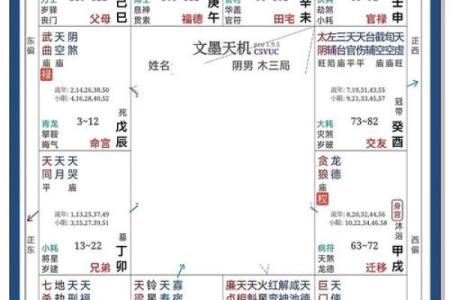 紫薇斗数紫薇天相