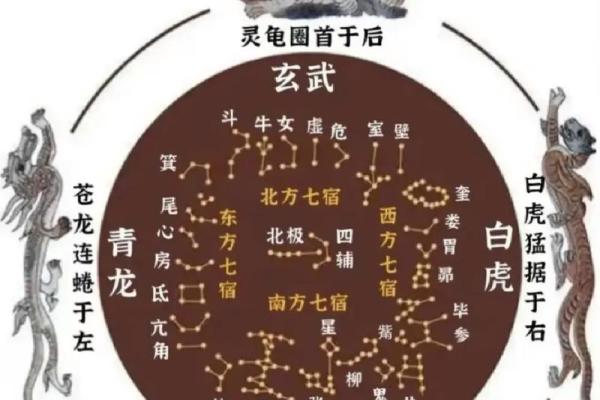 九大星宿都有哪些星座