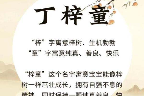 丁姓女孩名字大全-丁姓女孩起名字大全-丁姓名字大全姓名