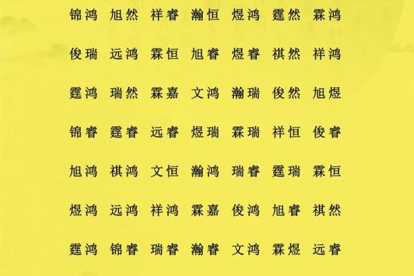 2月份出生的属鸡男孩起什么名字好姓名
