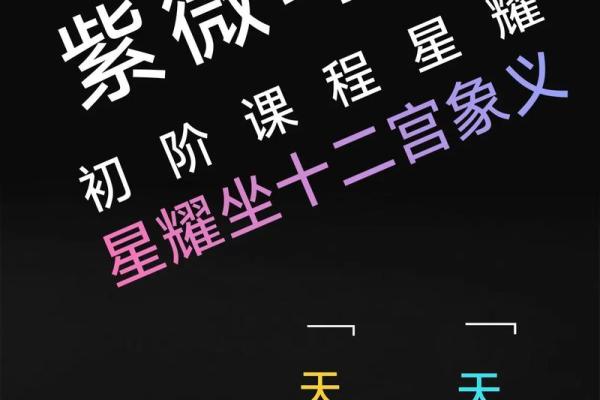 紫薇斗数怎样查天相